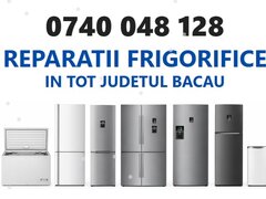 Reparatii frigidere Bacau